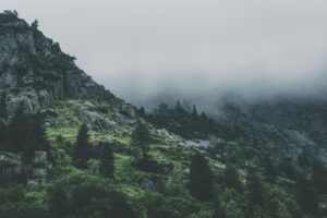 Natuurramp yoga